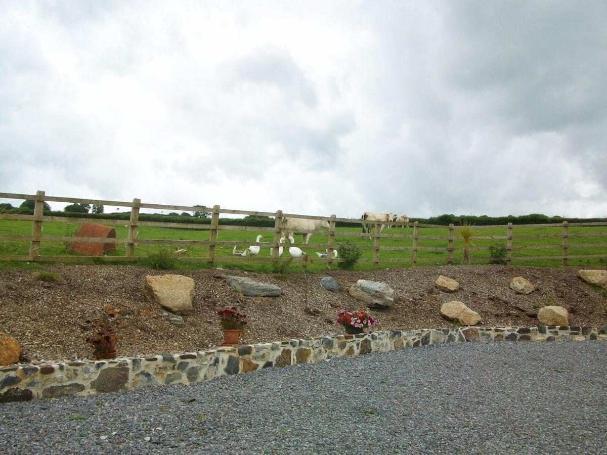 Villa Bowbeer Barn Drewsteignton Esterno foto